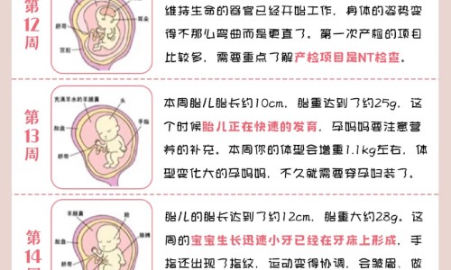 得痛风前兆是什么症状图片大全网 - 如果痛风有什么症状,痛风病有什么症状