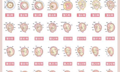 得痛风前兆是什么症状图片大全网 - 如果痛风有什么症状,痛风病有什么症状